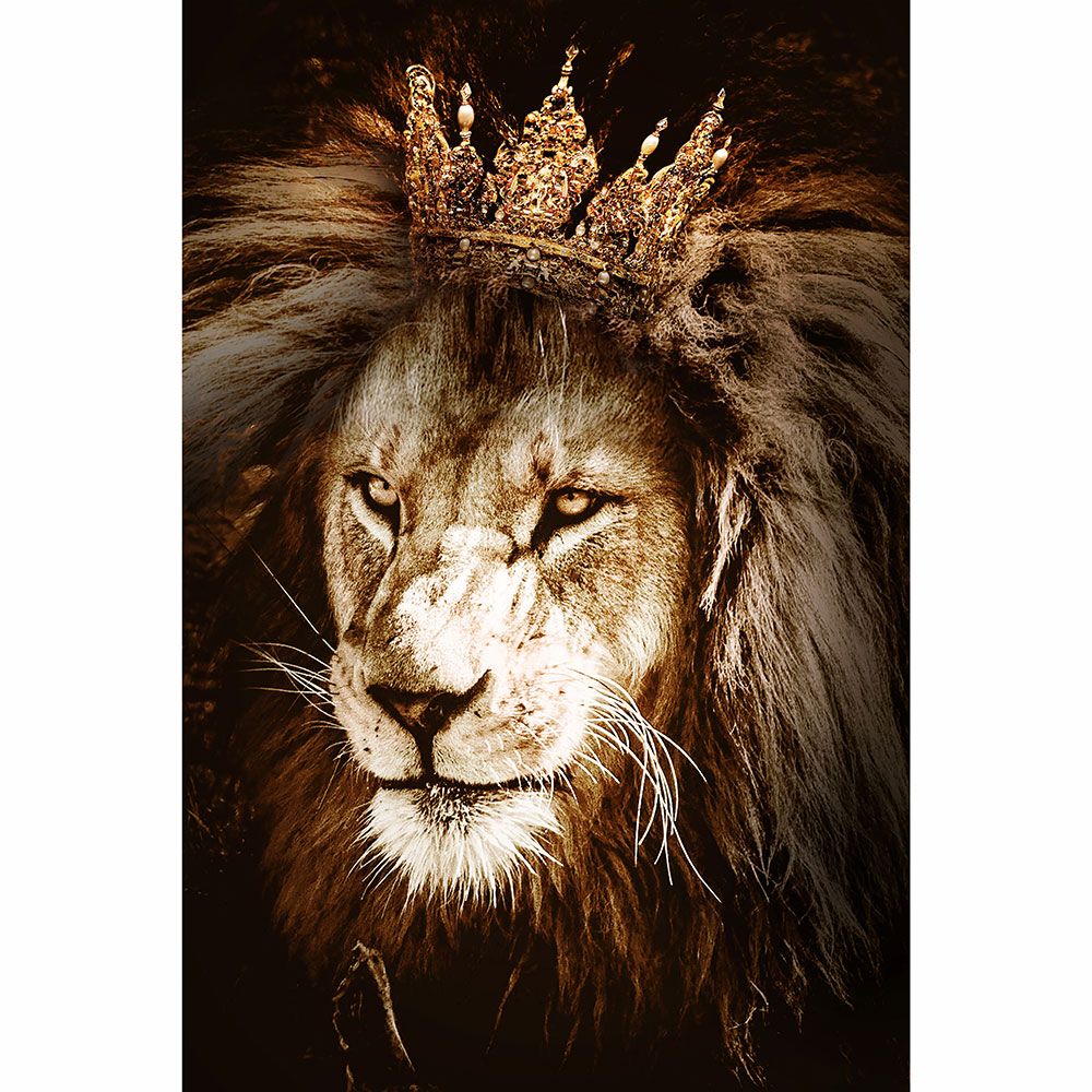 Tela para Quadros Fotografia Leo com Coroa Dourada - Afic15956