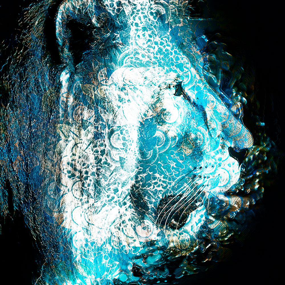 Tela para Quadros Face Leo Abstrato Artstico Cores - Afic16001