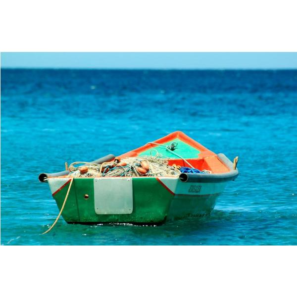 Impresso em Tela para Quadros Barco Pesca Ao Mar - Afic1042