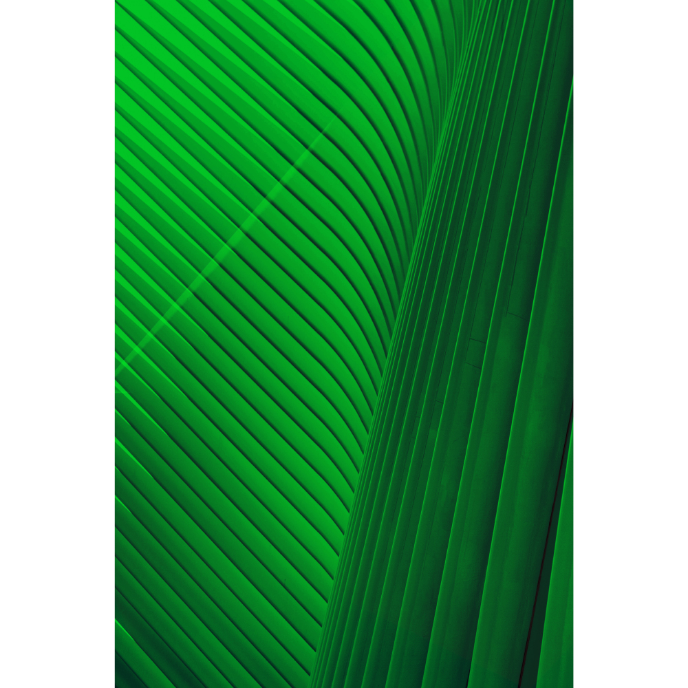 Tela para Quadros Folha Verde Brilhosa - Afic11213