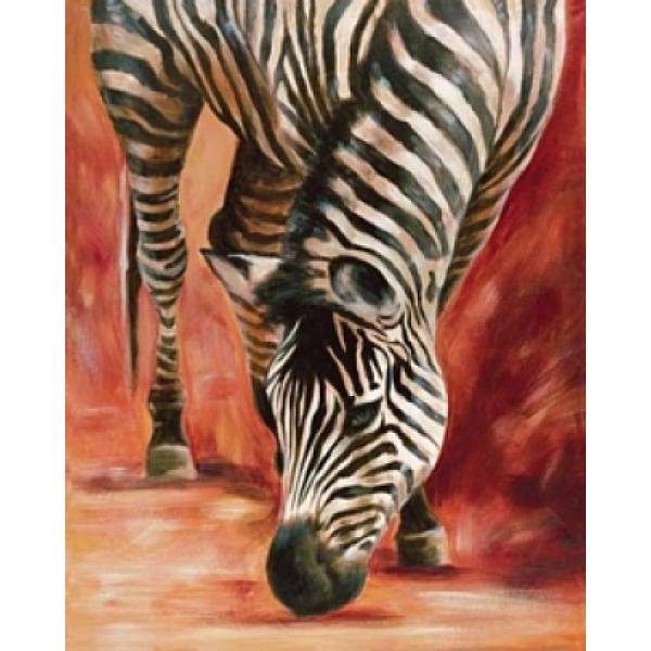 Gravura Decorativa para Quadros Zebra 40x50 Cm