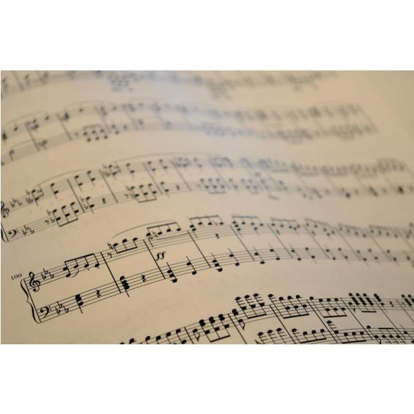 Impresso em Tela para Quadros Instrumentos Musicais Livro de Nota Musical - Afic2700