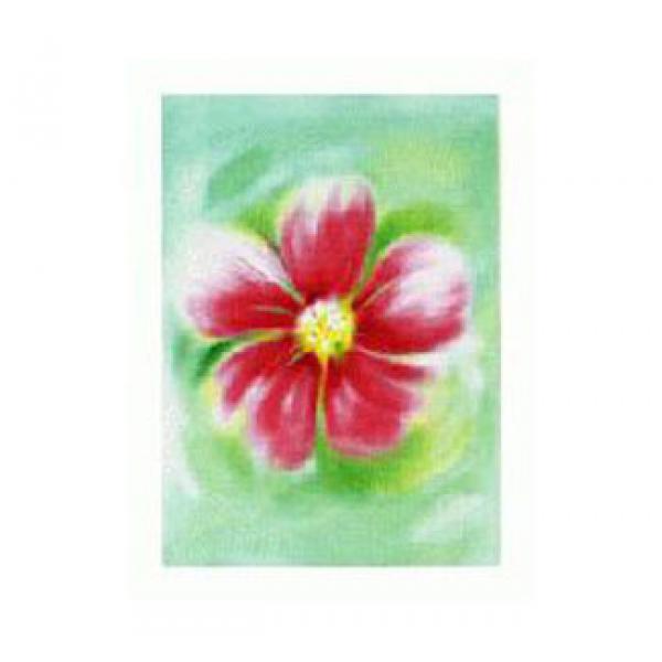 Gravura para Quadros Flores Verbena Vermelha - Ncn3631/1 - 30x40 Cm