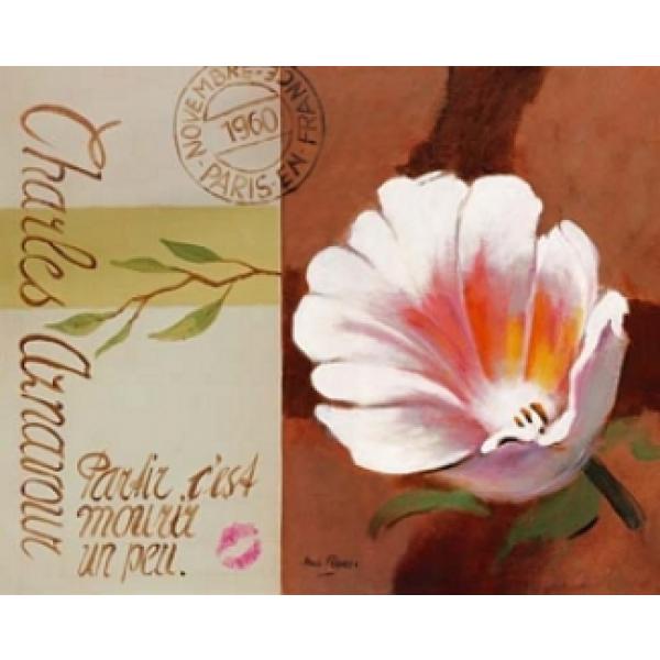 Gravura para Quadros Floral Vintage - Gr7223 - 50x40 Cm