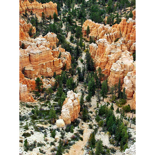 Gravura para Quadros Parque Nacional de Bryce Canyon em Utah Nos Estados Unidos - Afi17735