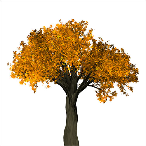 Gravura para Quadros rvore de Outono Folhas Amarela - Afi18924