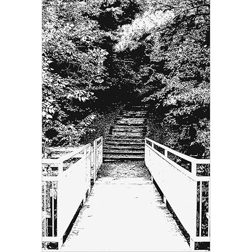 Tela para Quadros Paisagem Escada Natureza Preto e Branco - Afic19773