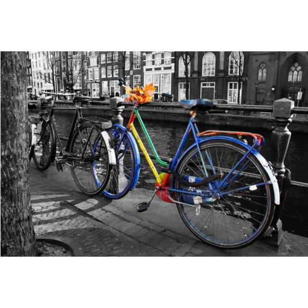 Impresso em Tela para Quadros Bicicleta Colorida - Afic1292