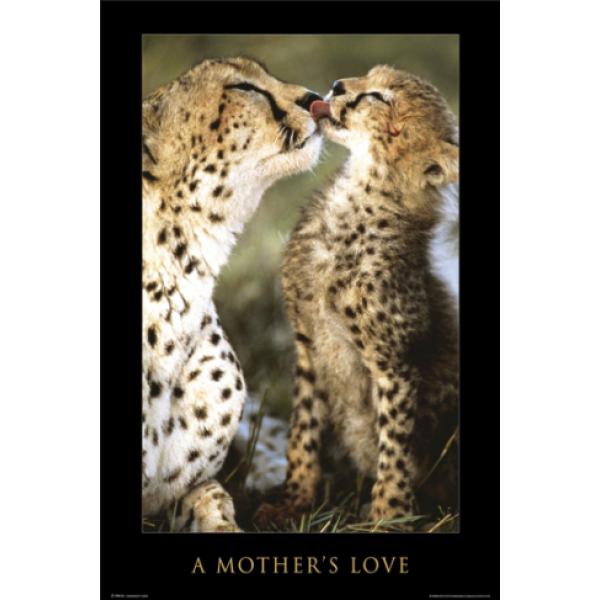 Poster para Quadros a Mothers Love 60x90 Cm