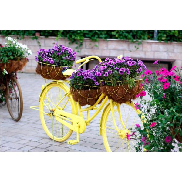 Impresso em Tela para Quadros Bicicleta com Flores Amor Perfeito - Afic1317