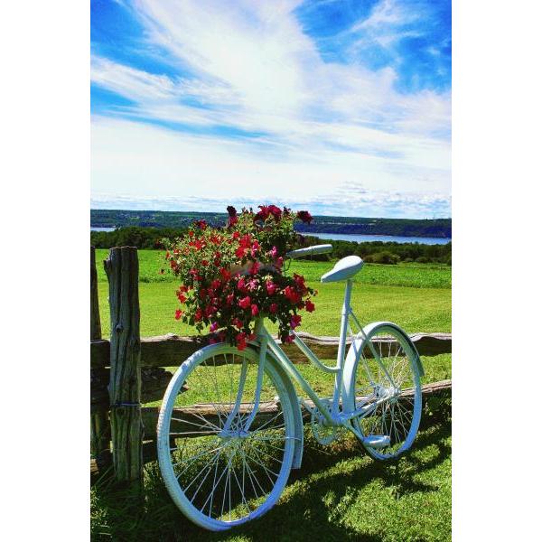 Impresso em Tela para Quadros Bicicleta Decorativa Flores - Afic1306