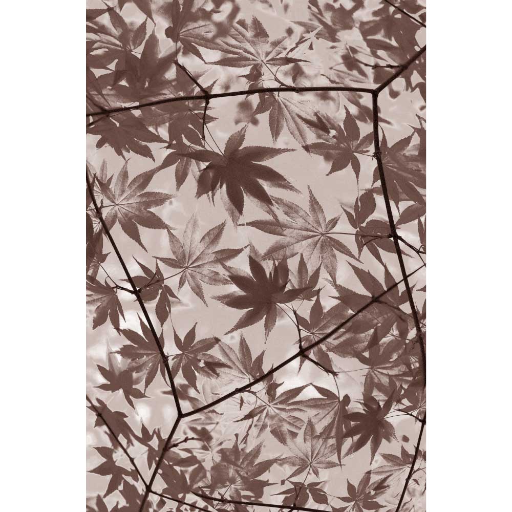 Gravura para Quadros Decorativos Folhas em Spia I - Afi10122