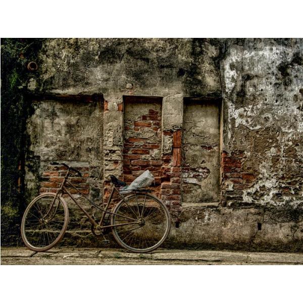 Gravura para Quadros Bicicleta Velha Escorada em Parede - Afi1321