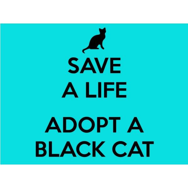 Gravura Impressa para Quadros Frase Save a Life Adopt a Black Cat - Afi539 - 70x50 cm