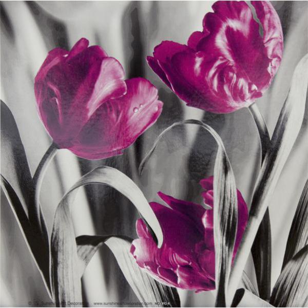 Gravura para Quadros Painel Floral Tulipa - Yg4 - 15x15 Cm