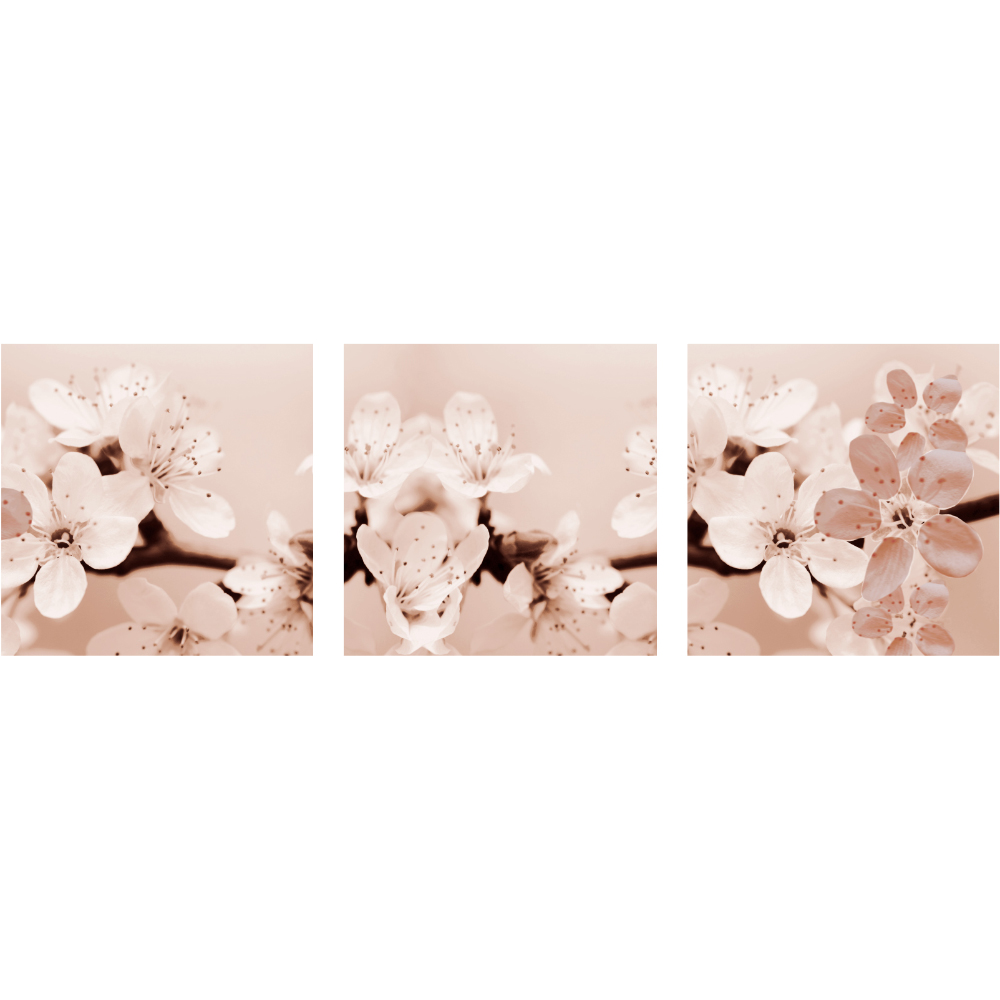 Tela para Quadros Recortada Flores de Pssego - Afic6534a - 160x50 Cm
