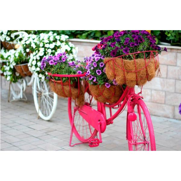 Impresso em Tela para Quadros Bicicleta Rosa Decorada com Flores - Afic1325