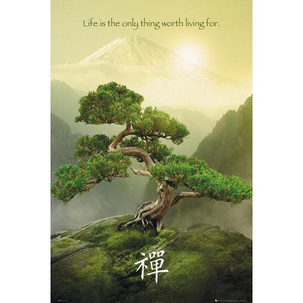 Gravura para Quadros Life Is The Only Thing Worth Living For - Ph0449 - 60x90 Cm