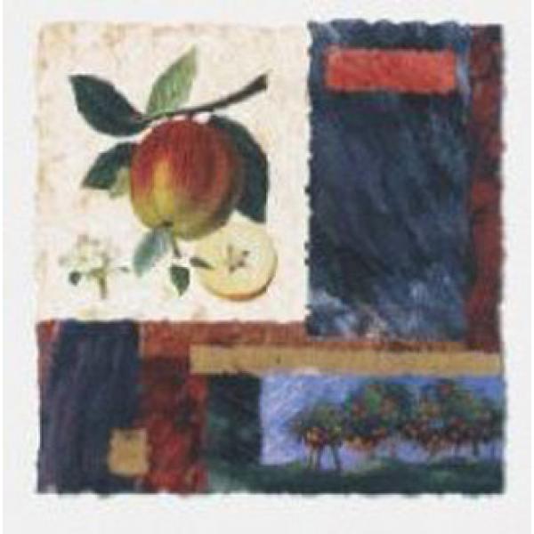 Gravura para Quadros Decorativos Fruta Maa - Ncn3304-4 - 50x50 Cm