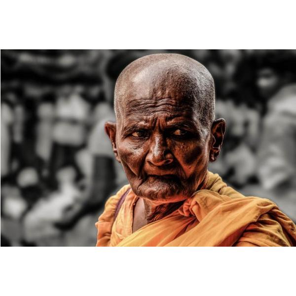 Impresso em Tela para Quadros Pster Retrato Monge Budista - Afic2065