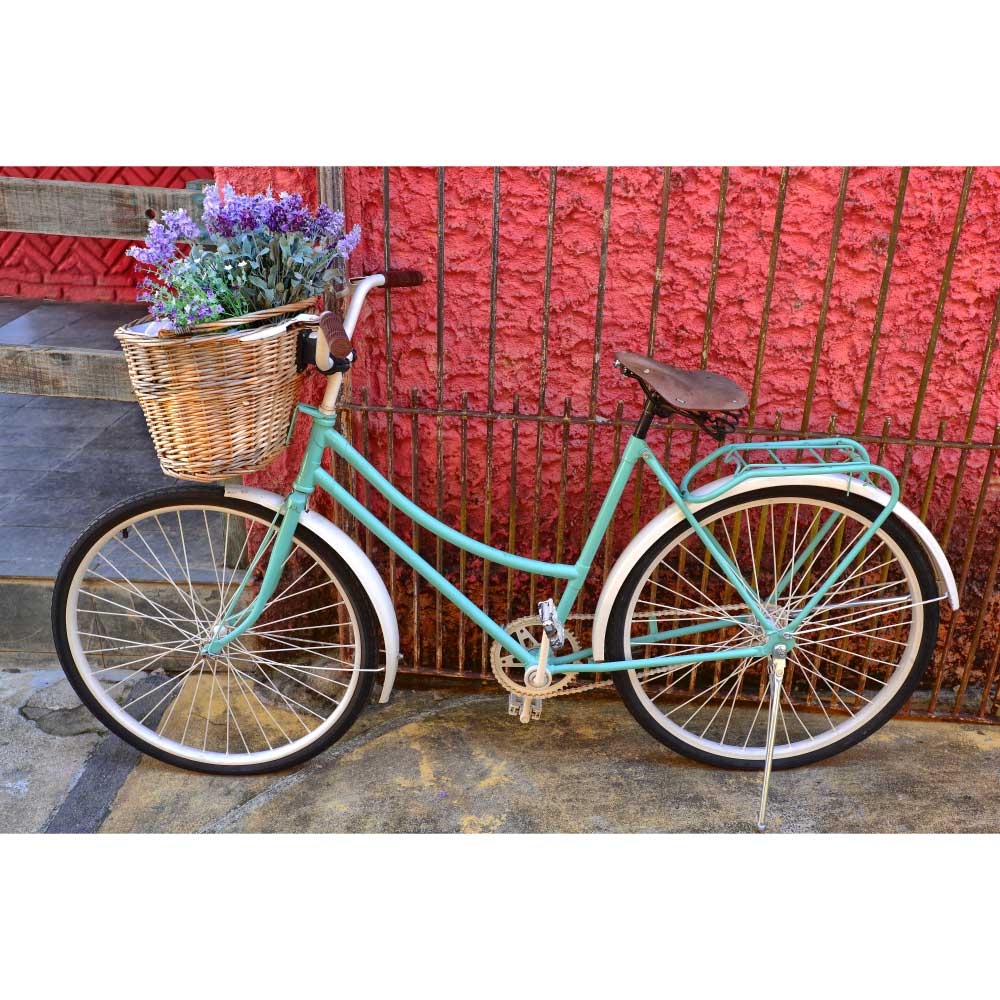 Gravura para Quadros Bike Antiga com Cesto de Flores Por Dorival Moreira - Afidm170