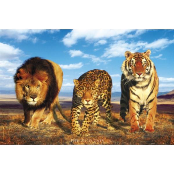 Poster para Quadros Animais da Savana Selvagem 90x60 Cm
