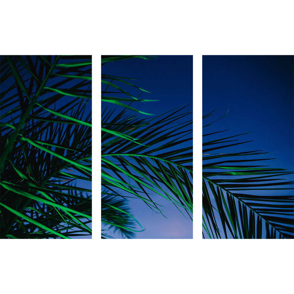 Tela para Quadros Recortada Folhas de Palmeira Cu Azul - Afic15934a - 160x100 Cm