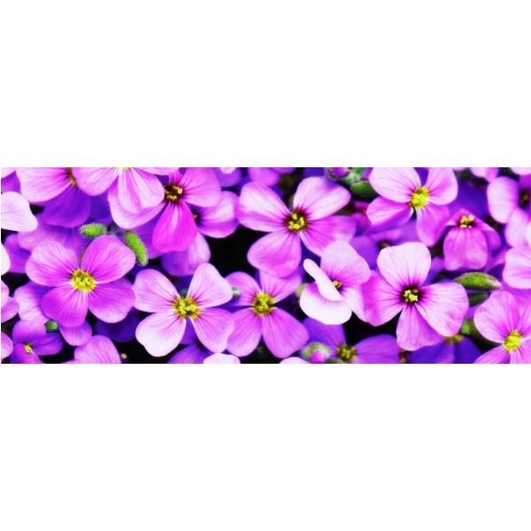 Impresso em Tela para Quadros Flores de Hortncia - Afic2126 - 70x25 Cm