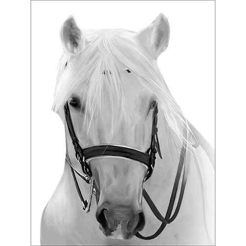 Tela para Quadros Decorativo Cavalo Branco Rdias Preta - Afic18040