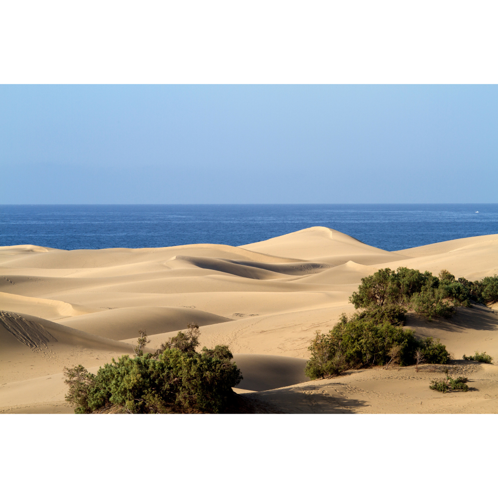 Gravura para Quadros Paisagem Costa de Areia Ao Mar - Afi11165 - 180x120 Cm