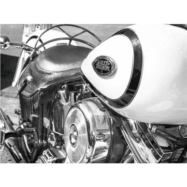 Impresso em Tela para Quadro Moto Harley Davidson Especial - Afic4072 - 69x51 Cm