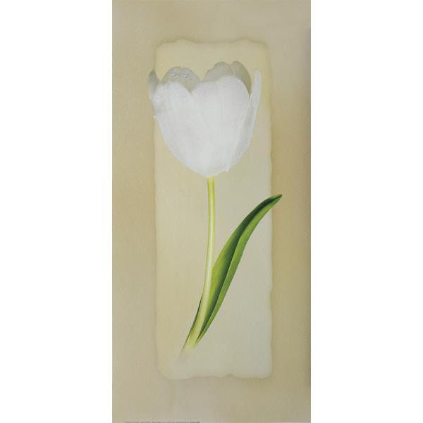 Gravura para Quadros Painel Tulipa Branca - Dn251 - 30x70 Cm