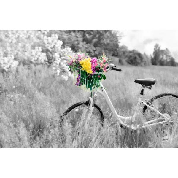 Impresso em Tela para Quadros Flores Na Bicicleta Realando a Paisagem - Afic5003