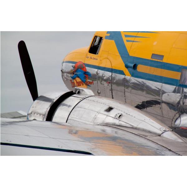 Impressão em Tela para Quadros Avião Amarelo com Turbina Cromada - Afic858 - 69x46 Cm