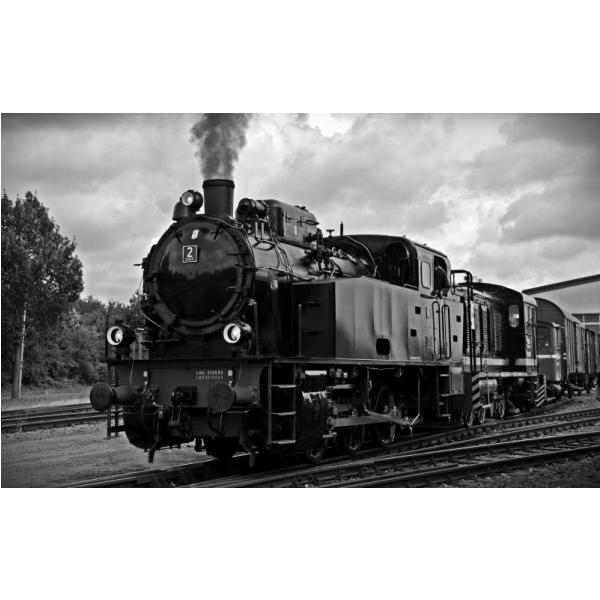 Impresso em Tela para Quadro Locomotiva Preto e Branca I - Afic2726