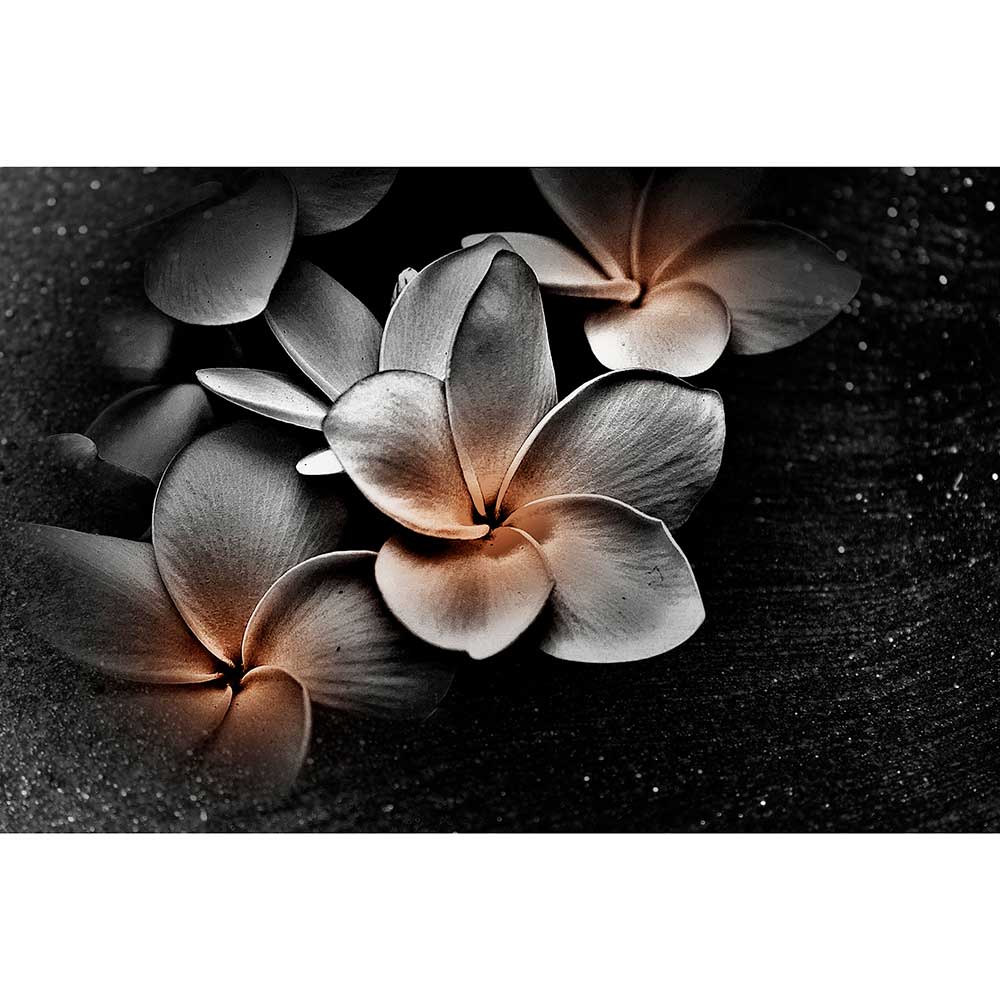 Tela para Quadros Floral Noturna Fundo Preto Abstrato - Afic15841