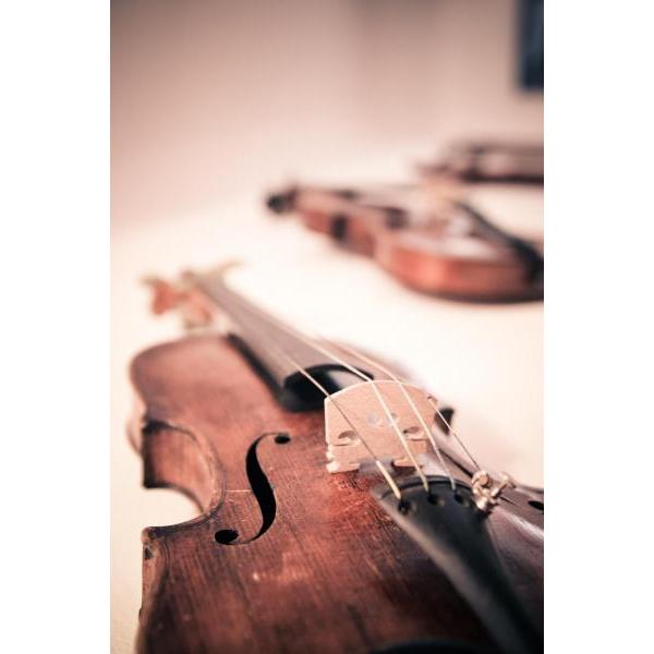 Impresso em Tela para Quadros Instrumento Musical Violino - Afic2702