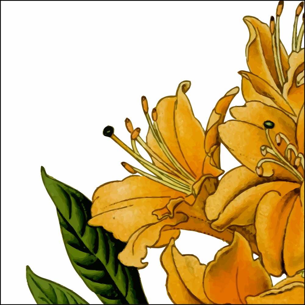 Gravura para Quadros Flores de Azaléia Amarelas - Afi11201