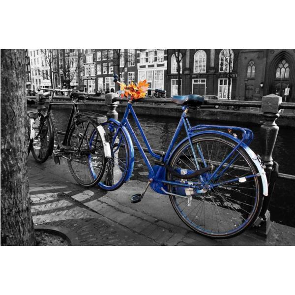 Impresso em Tela para Quadros Bicicleta Antiga Azul - Afic3685