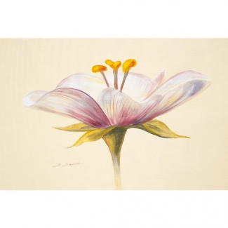 Gravura para Quadros Painel Floral - 9905162 - 25x20 Cm