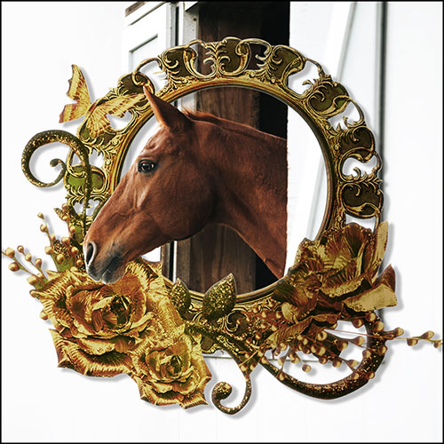 Tela para Quadros Decorativo Cavalo Arco Dourado Floral - Afic19668