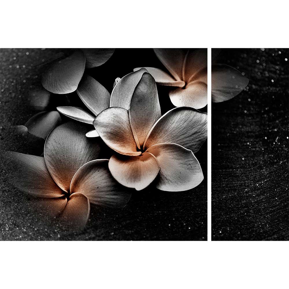 Gravura para Quadros Recortada Floral Noturna Fundo Preto Abstrato - Afi15841a - 195x130 Cm
