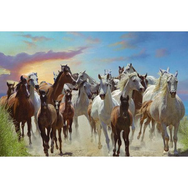 Poster para Quadros Manada de Cavalos Correndo Juntos 90x60 Cm