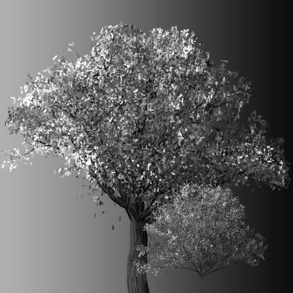 Gravura para Quadros Ilustração Preto e Branco Árvore I - Afi6026