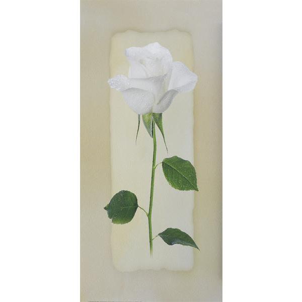 Gravura para Quadro Silhueta Rosa Branca - Dn249 - 30x70 Cm
