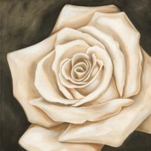 Gravura para Quadros Decorativos Rosa Branca - Zy6950 - 69x69 Cm
