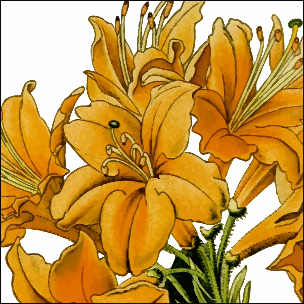 Gravura para Quadros Flores de Azaléia Amarelas I - Afi11202