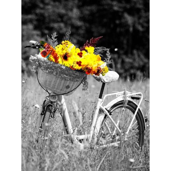 Gravura para Quadros Bicicleta Vintage Retr - Afi6883