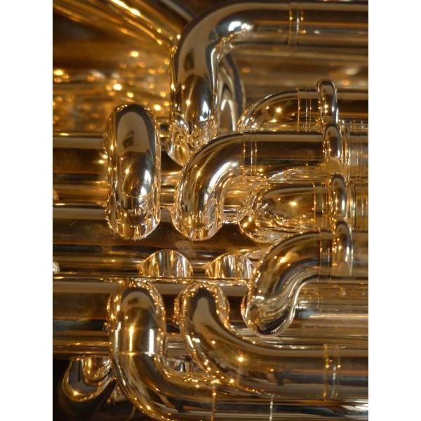 Impresso em Tela para Quadros Instrumento Musical Belo Saxofone - Afic2683
