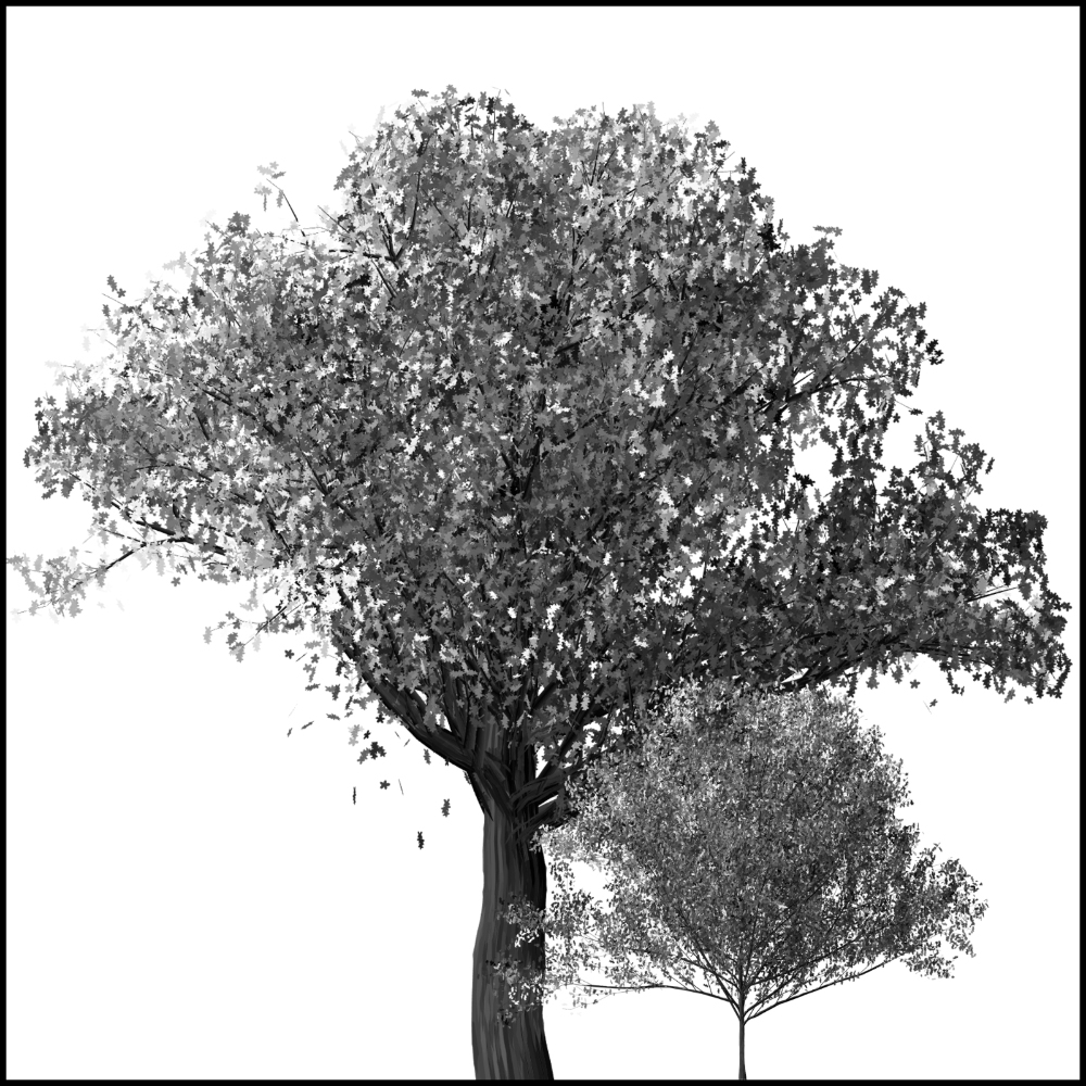 Tela para Quadros Ilustrao Preto e Branco rvore - Afic6025